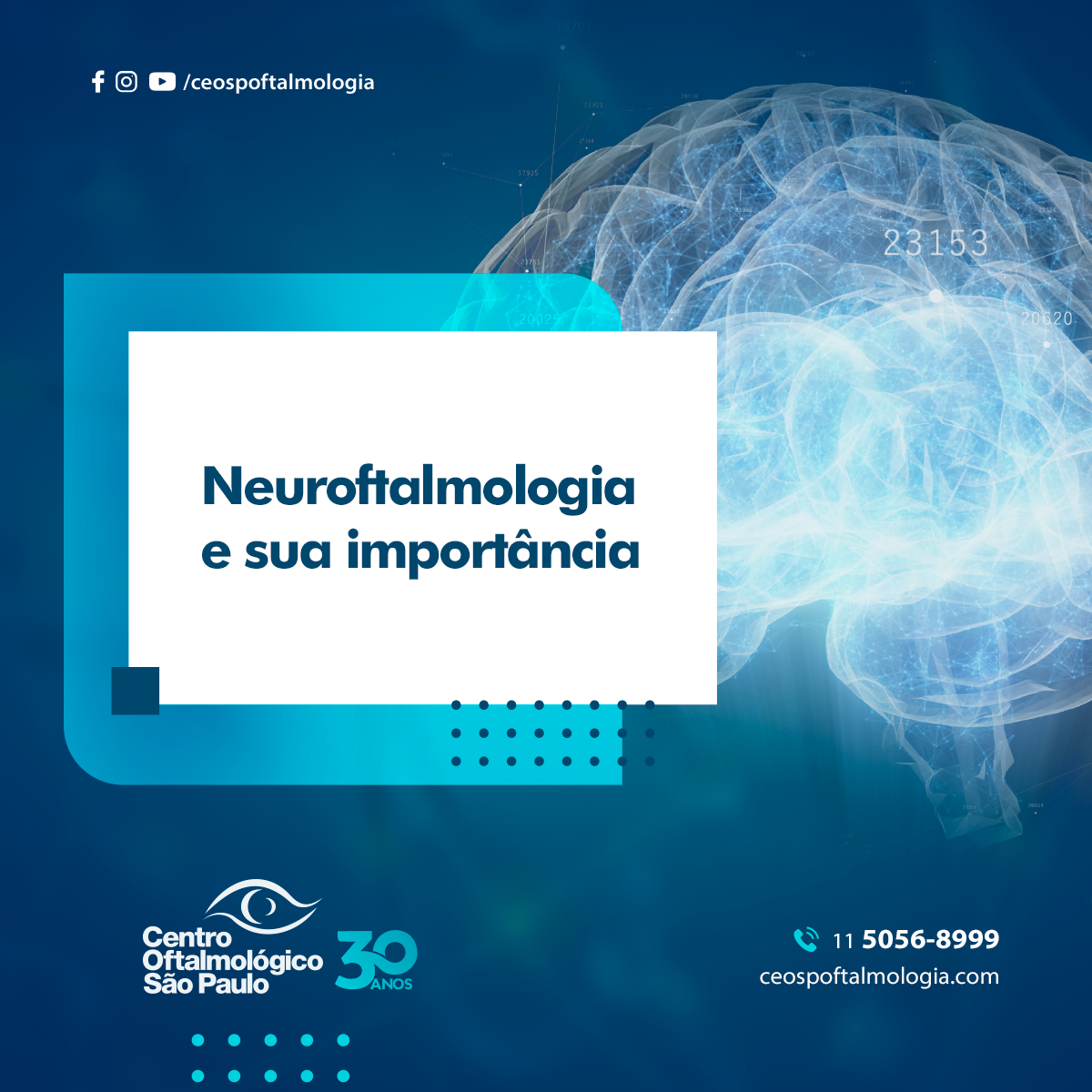 A Neuroftalmologia e sua importância